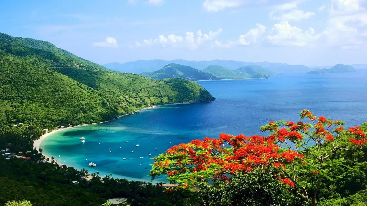 高效稳定性自动化